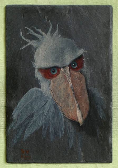 Roland Mertens - Schuhschnabel