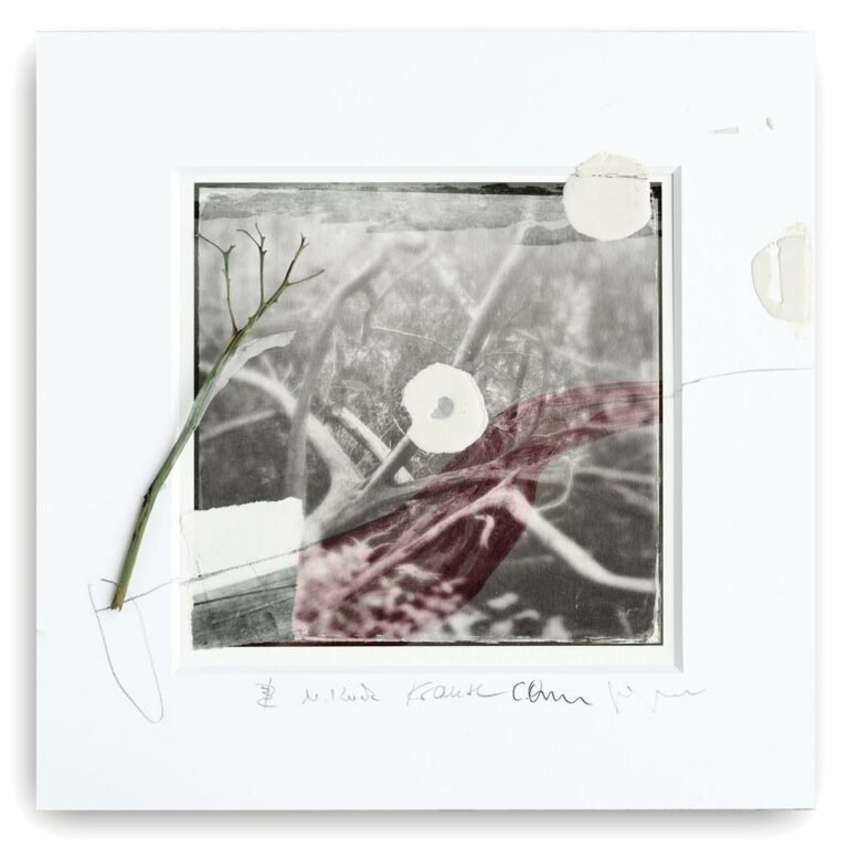 Ateliergemeinschaft K36 - Serie „Lichte Momente“ (11 von 13)
